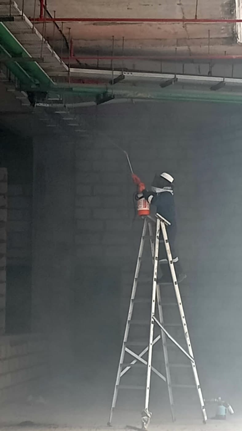 Beehive Removal
