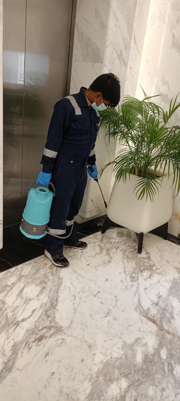 Residential Pest Control