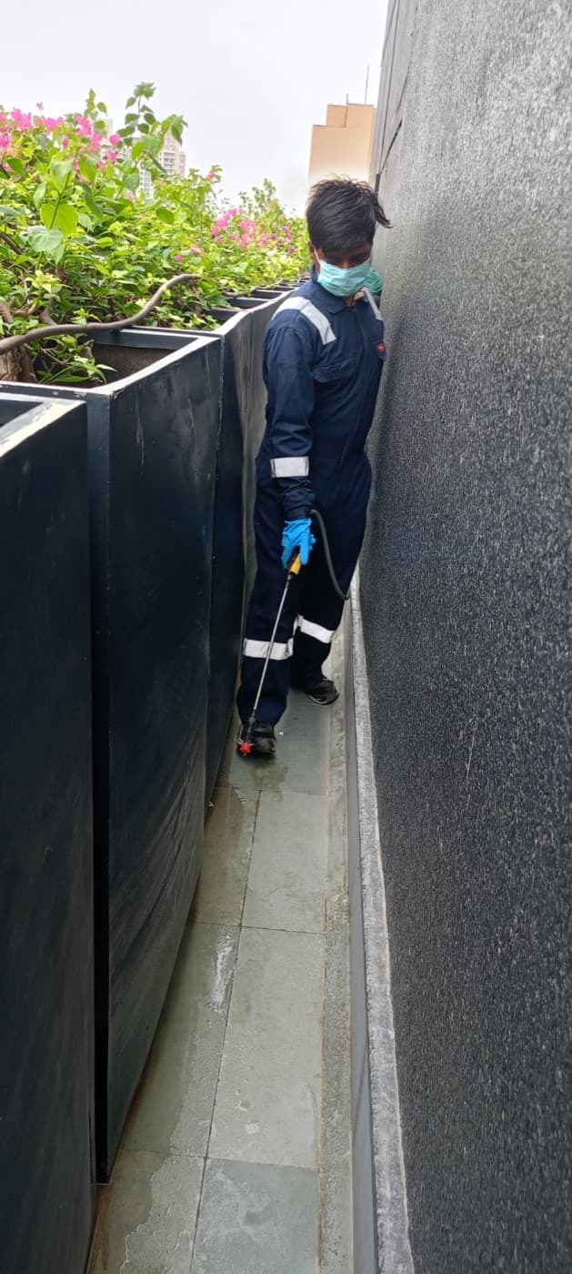Frontline pest control in action