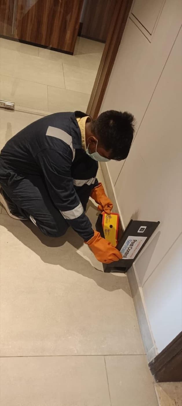 Rodent Control